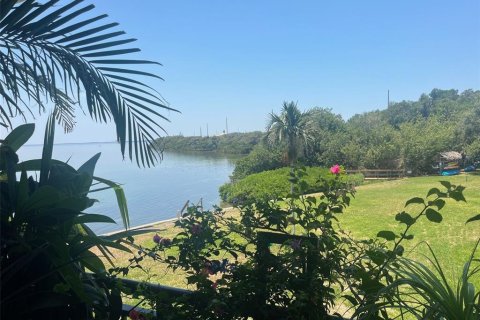 Condominio en alquiler en Saint Petersburg, Florida, 1 dormitorio, 85.01 m2 № 1833206 - foto 2