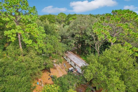 Land in Sanford, Florida № 1443863 - photo 15