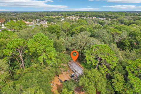 Land in Sanford, Florida № 1443863 - photo 3