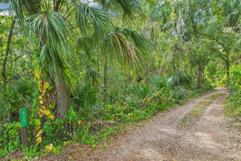 Land in Sanford, Florida № 1443863 - photo 13