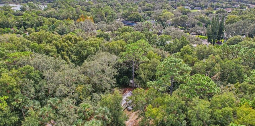 Land in Sanford, Florida № 1443863