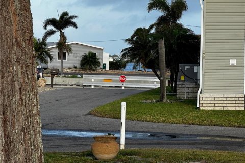 Terreno en venta en Palmetto, Florida № 1608701 - foto 9