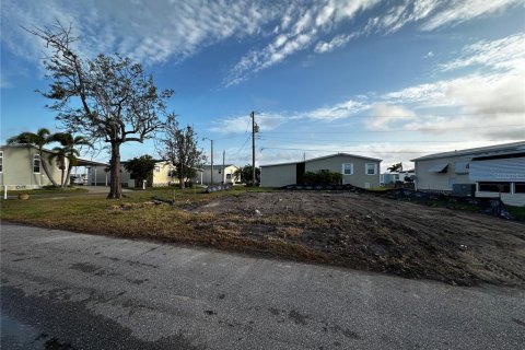 Terreno en venta en Palmetto, Florida № 1608701 - foto 4