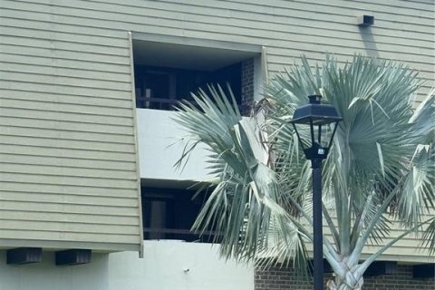 Condominio en alquiler en Palm Harbor, Florida, 1 dormitorio, 76.64 m2 № 1873283 - foto 3