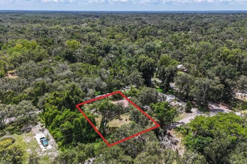 Terreno en venta en Dade City, Florida № 1856297 - foto 18