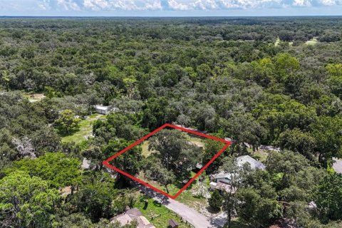 Terreno en venta en Dade City, Florida № 1856297 - foto 12
