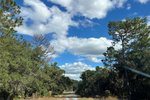 Terreno en venta en Crystal River, Florida № 2159485 - foto 19