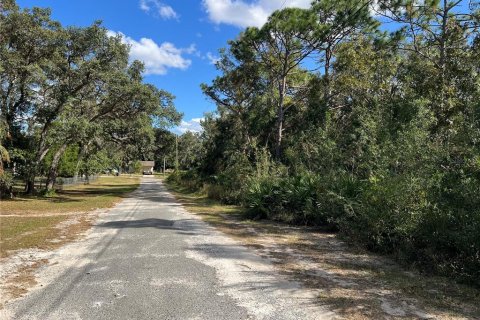 Terreno en venta en Crystal River, Florida № 2159485 - foto 7