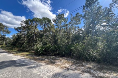 Terreno en venta en Crystal River, Florida № 2159485 - foto 3