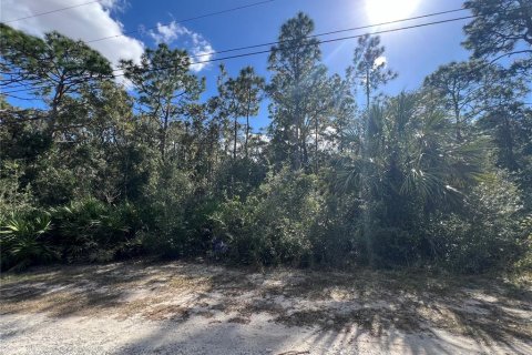 Terreno en venta en Crystal River, Florida № 2159485 - foto 1