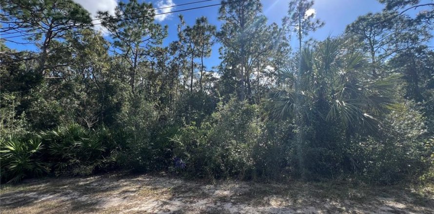 Terreno en Crystal River, Florida № 2159485