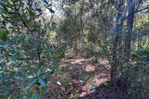 Terreno en venta en Crystal River, Florida № 2159485 - foto 2