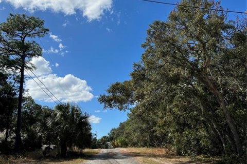 Terreno en venta en Crystal River, Florida № 2159485 - foto 6