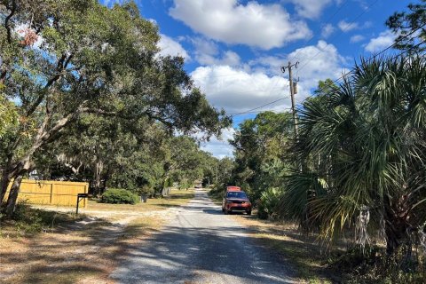 Terreno en venta en Crystal River, Florida № 2159485 - foto 18