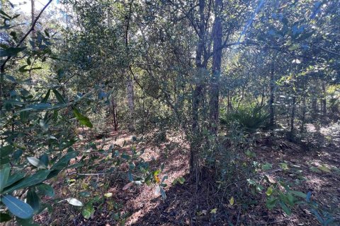 Terreno en venta en Crystal River, Florida № 2159485 - foto 12
