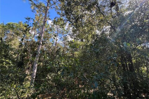 Terreno en venta en Crystal River, Florida № 2159485 - foto 17