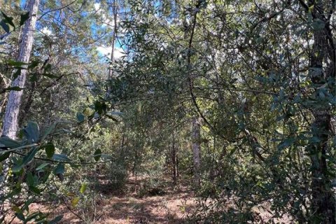 Terreno en venta en Crystal River, Florida № 2159485 - foto 14