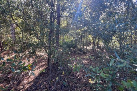 Terreno en venta en Crystal River, Florida № 2159485 - foto 13
