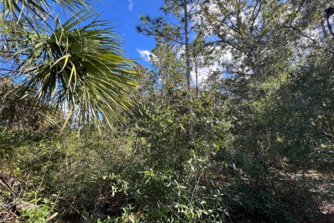 Terreno en venta en Crystal River, Florida № 2159485 - foto 11