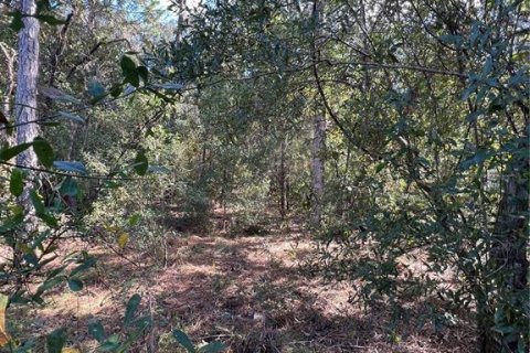 Terreno en venta en Crystal River, Florida № 2159485 - foto 16