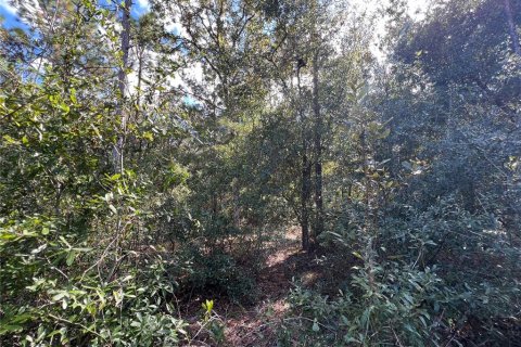 Terreno en venta en Crystal River, Florida № 2159485 - foto 10