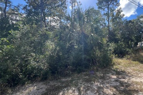 Terreno en venta en Crystal River, Florida № 2159485 - foto 4