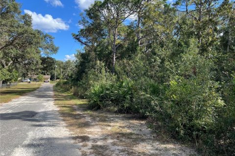 Terreno en venta en Crystal River, Florida № 2159485 - foto 5