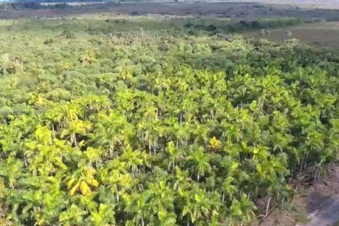 Коммерческая недвижимость в Флорида-Сити, Флорида № 1939406