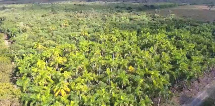 Коммерческая недвижимость в Флорида-Сити, Флорида № 1939406