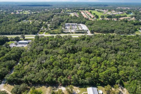 Land in Hernando, Florida № 791129 - photo 8