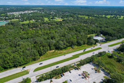 Land in Hernando, Florida № 791129 - photo 4