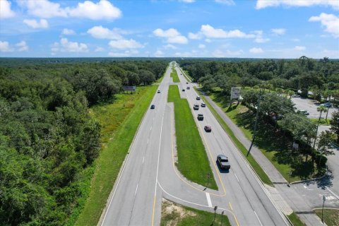 Land in Hernando, Florida № 791129 - photo 11