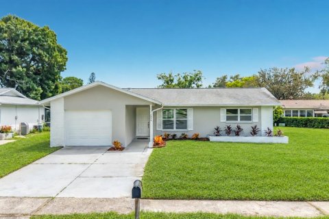 Villa ou maison à Palm Harbor, Floride 2 chambres, 90.86 m2 № 2354285