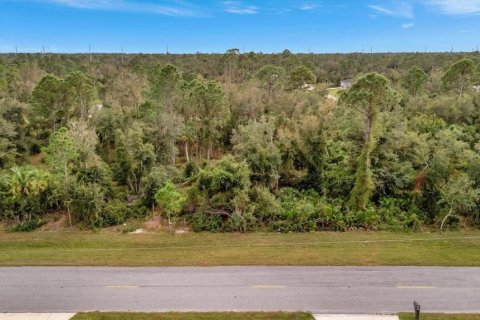 Land in Port Charlotte, Florida № 2235077 - photo 10