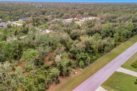 Land in Port Charlotte, Florida № 2235077 - photo 8