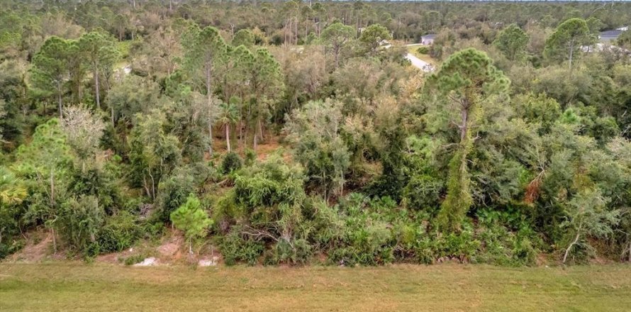 Land in Port Charlotte, Florida № 2235077
