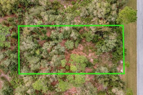 Land in Port Charlotte, Florida № 2235077 - photo 11
