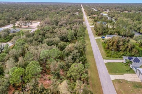 Land in Port Charlotte, Florida № 2235077 - photo 7