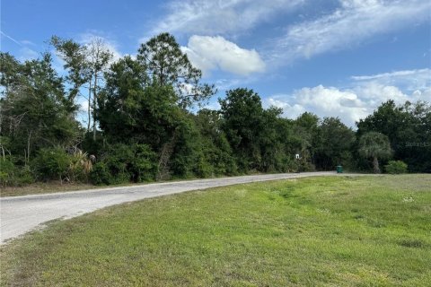 Terrain à Punta Gorda, Floride № 2165000