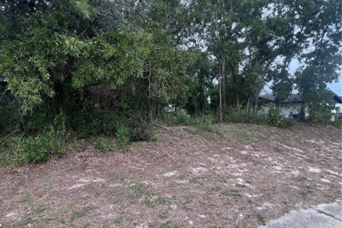 Terrain à vendre à Spring Hill, Floride № 1900242 - photo 6