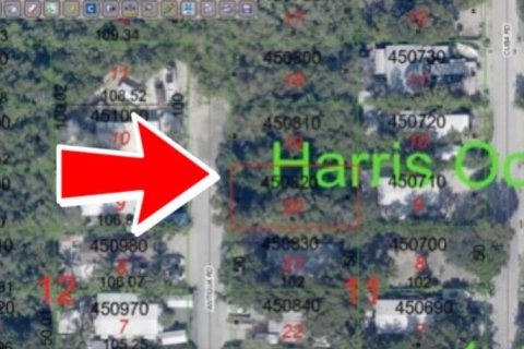 Land in Tavernier, Florida № 1228873 - photo 1