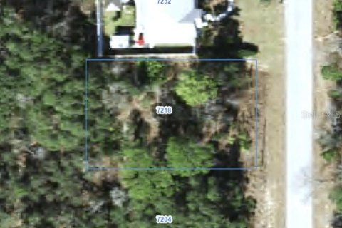 Land in Citrus Springs, Florida № 2388272