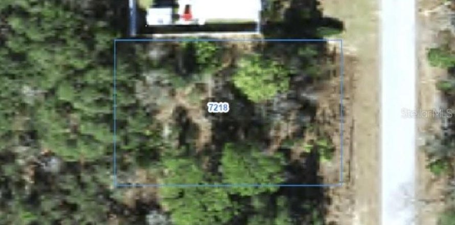 Land in Citrus Springs, Florida № 2388272