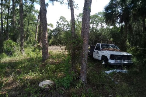 Land in Clewiston, Florida № 2233236 - photo 4