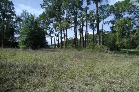 Land in Clewiston, Florida № 2233236 - photo 2