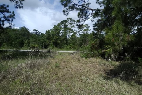 Land in Clewiston, Florida № 2233236