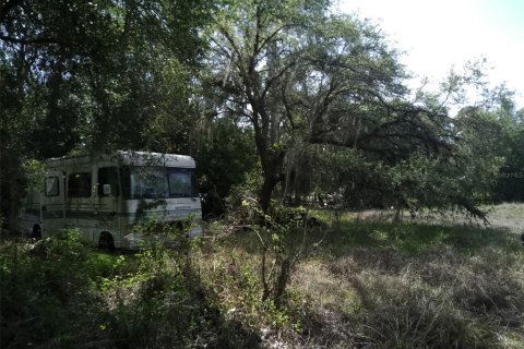 Land in Clewiston, Florida № 2233236 - photo 3