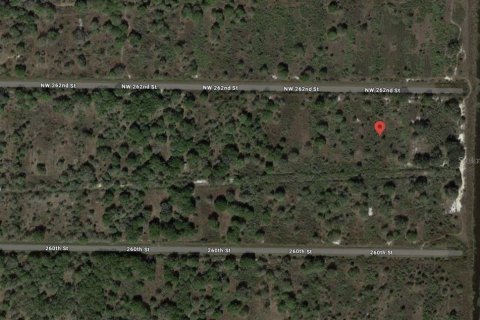 Land in Okeechobee, Florida № 1245997 - photo 9