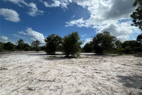 Land in Okeechobee, Florida № 1245997 - photo 1