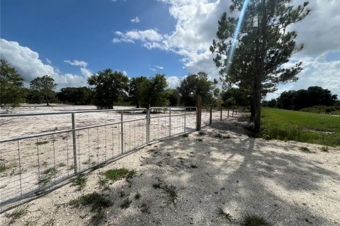 Land in Okeechobee, Florida № 1245997 - photo 3